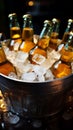 Chilled beer bottles rest in an ice filled pail, promising cold and delightful sips Royalty Free Stock Photo