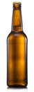 Chilled bottle of light beer isolated on a white background. File contains clipping path Royalty Free Stock Photo