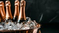 chilled champagne bottles nestled in a bucket of ice cubesset against a deep black background Royalty Free Stock Photo