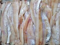 Chilled fresh pollock fish, skinless fillet