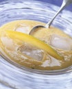 Chilled mango and melon soup Royalty Free Stock Photo