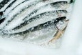 Chilled salmon fish on the counter in ice shavings. Trade in fresh seafood in the store. Flat lay. Close-up Royalty Free Stock Photo