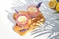 A chilled soda drink with lemon and a sprig of lavender on a bright sunny day under the shade of palm trees. Fresh cool