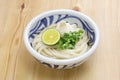 Chilled udon noodles with grated daikon radish and dashi soup. Japanese food