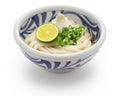 Chilled udon noodles with grated daikon radish and dashi soup. Japanese food