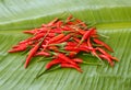 Chilli on banana leaf ,thailand Royalty Free Stock Photo