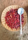 Chilli Basket Royalty Free Stock Photo