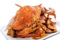 Chilli Crab Royalty Free Stock Photo