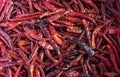 Chilli dry Royalty Free Stock Photo