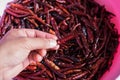 Chilli dry in hand Royalty Free Stock Photo