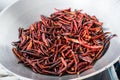 Chilli dry in the pan Royalty Free Stock Photo