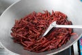 Chilli dry in the pan Royalty Free Stock Photo