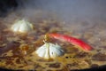 Chilli and garlic cooked in a cauldron.