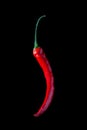 Chilli pepper on black