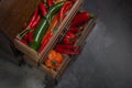 Chilli pepper, different types and colors, very original, with copy-space, in drawers