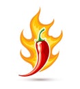 Chilli pepper on fire