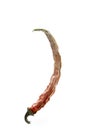 Chilli pepper - sun-dried is on white background Royalty Free Stock Photo