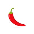 Chilli pepper vector illustration, spice vegetable