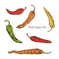 Chilli peppers color sketches set