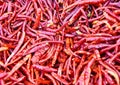 Chilli peppers Royalty Free Stock Photo