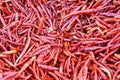 Chilli peppers Royalty Free Stock Photo