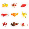 Chilli peppers habanero fatalii rooster cayenne Royalty Free Stock Photo