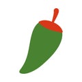 Chilli vegetable flat style icon vector design