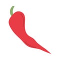 chilli vegetable icon vector design