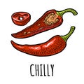 Chilli whole, half and slice. Vector vintage engraving