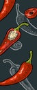 Chilli whole, half and slice. Vector vintage engraving