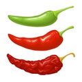 Chilli whole. Vector realistic color illustration. Isolated on white Royalty Free Stock Photo