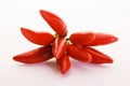 Chillies Royalty Free Stock Photo