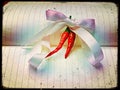 Chillies in bow tie ribbons