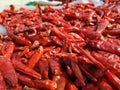 Chillies bright texture. Drying mirchi in sunny. Byadagi mirchi, Indian hot spices. Chilli Capsicum pepper used in spicy food