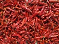 Chillies bright texture. Drying mirchi in sunny. Byadagi mirchi, Indian hot spices. Chilli Capsicum pepper used in spicy food