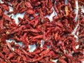 Chillies bright texture. Drying mirchi in sunny. Byadagi mirchi, Indian hot spices. Chilli Capsicum pepper used in spicy food