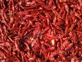 Chillies bright texture. Drying mirchi in sunny. Byadagi mirchi, Indian hot spices. Chilli Capsicum pepper used in spicy food