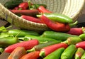 Chillies (chilies)in a basket Royalty Free Stock Photo