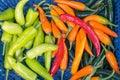 Chillies at the market Royalty Free Stock Photo