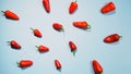 Chillies or peppers and capsicums or bell peppers. sweet bell, paprika, cayenne, chilli, hungarian wax pepper, isolated Royalty Free Stock Photo