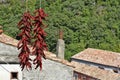 The old town of Orsomarso, Italy. Royalty Free Stock Photo