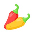 Chillies vector design, hot pepper icon design, ready to use