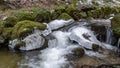 Chilling view of flowing water with stone covered with green moss in the Black Forest in Germany Royalty Free Stock Photo