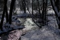 Chilling view of a small creek in the middle of a forest during winter Royalty Free Stock Photo