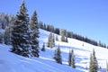 Chilling view of snow-covered trees and fields in Aspen Colorado Ski Park in Colorado, U.S.