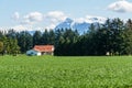 CHILLIWACK, CANADA - APRIL 20, 2019: Beautiful view green field at farm with house and mountains in british columbia Royalty Free Stock Photo