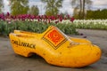 Chilliwack Clogs in the Tulip Fields Royalty Free Stock Photo