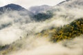 Chilliwack Lake Provincial Park in fog