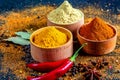 Chilly powder turmeric with chilly Royalty Free Stock Photo