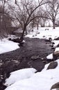 Chilly Winter Stream Royalty Free Stock Photo